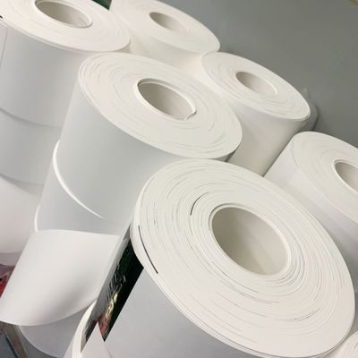 качество  0.1µM - 5µM Pore Size Nylon (Polyamide) Membrane Filter Circles завод